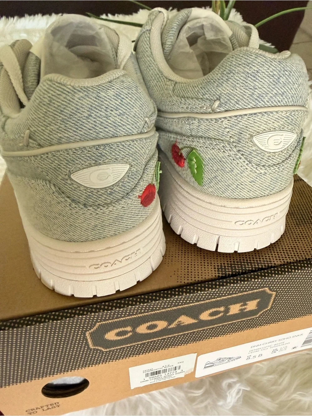 Cosch playful gray
